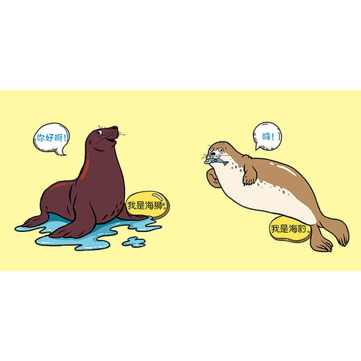 【2-6岁动物科普启蒙绘本】我能分得清（共18册） 商品图14