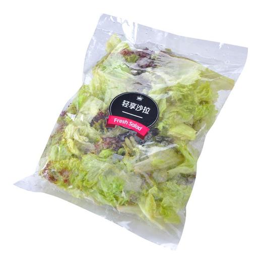 免洗罗莎红生菜 约100g/袋 商品图4