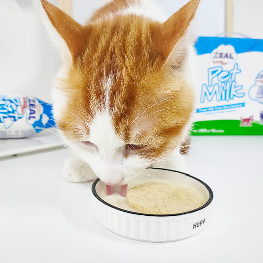 新西兰zeal宠物牛奶犬猫宠物零食牛奶380ml猫狗零食真致牛奶