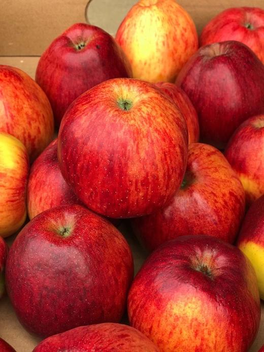 云南太阳斑红玛瑙苹果 家庭装 商品图2