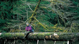  16岁独自旅行，43岁被棕熊攻击身亡，一个旅行摄影师的冒险人生 