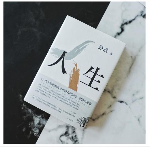 人生 商品图3