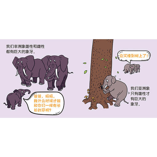 【2-6岁动物科普启蒙绘本】我能分得清（共18册） 商品图13