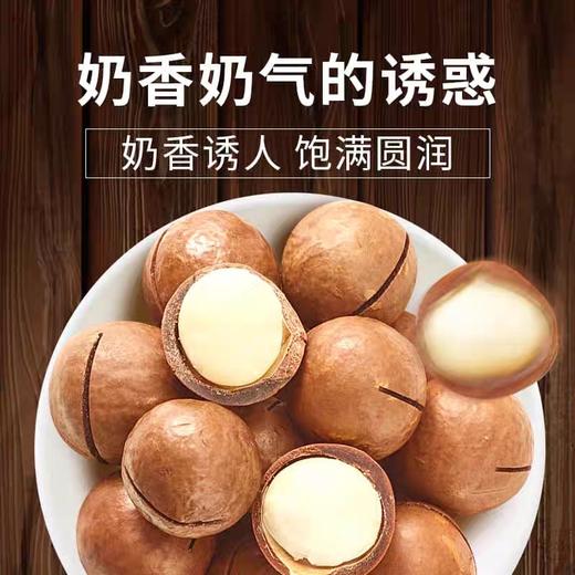 奶香夏威夷果 商品图5