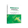 典型岩金矿床及探采对比/张北廷,汪汉雨,刘勇强,王佐满,王文成,刘景财,李临位 商品缩略图0