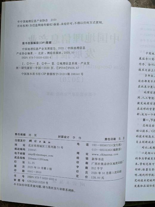 中国地理信息产业发展报告（2020） 商品图2