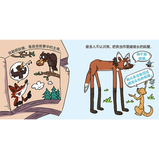 【2-6岁动物科普启蒙绘本】我能分得清（共18册） 商品图11