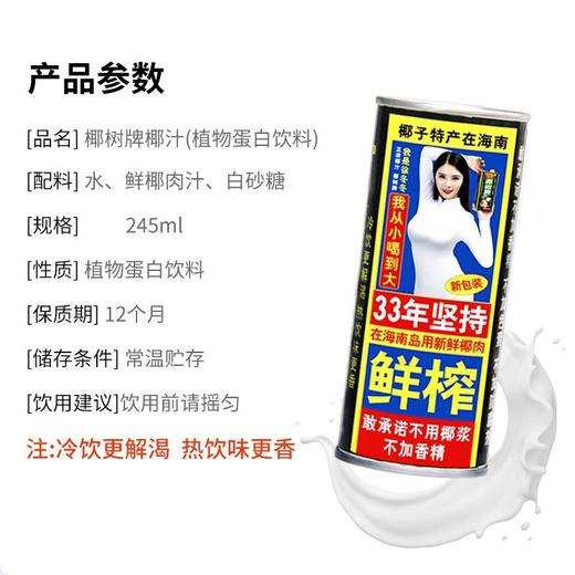 椰树 椰汁（植物蛋白饮料） 245ml 商品图1
