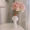 【新娘花·高端花材】5支/份 花期超长耐养护 花瓣似禅翼 仙气十足 可做干花 商品缩略图8