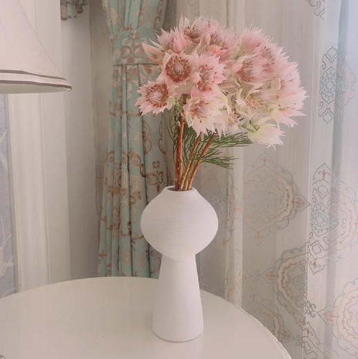 【新娘花·高端花材】5支/份 花期超长耐养护 花瓣似禅翼 仙气十足 可做干花 商品图8