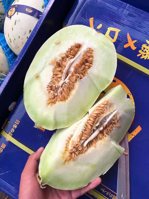 一藤月露流星蜜瓜酥软多汁