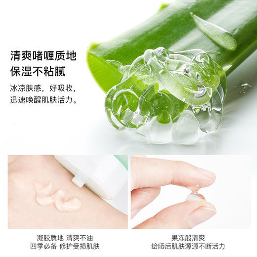 【中欧班列精选】RNW芦荟胶睡眠面膜/芦荟泥膜/祛痘印补水修复凝胶/晒后修复乳 商品图2