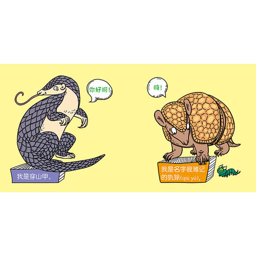 【2-6岁动物科普启蒙绘本】我能分得清（共18册） 商品图9