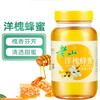 1000g老山洋槐蜜 商品缩略图2
