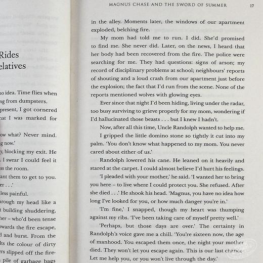 【中商原版】北欧神话系列1：夏日之剑 英文原版 Magnus Chase and the Sword of Summer (Book 1) Rick Riordan 雷克·赖尔顿 商品图7