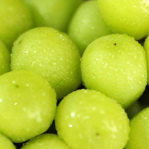 阳光玫瑰葡萄 商品图1