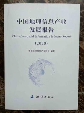 中国地理信息产业发展报告（2020）