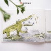 信谊 图画书奖系列：小鸟和鳄鱼（下单送限量） 商品缩略图5