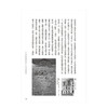 五十堂國寶級美學課：日本藝術史權威高階秀爾帶你遨遊東洋美術世界 港台原版 日本美学鉴赏 商品缩略图2