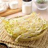 思诺奇黄豆芽 约250g/盒 商品缩略图2
