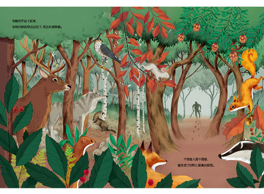 世界上zui美的便便 商品图2