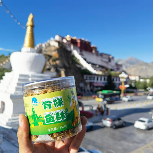 任选五种只要99元！店主在拉萨！亲测五款西藏零食给大家！ 商品图3