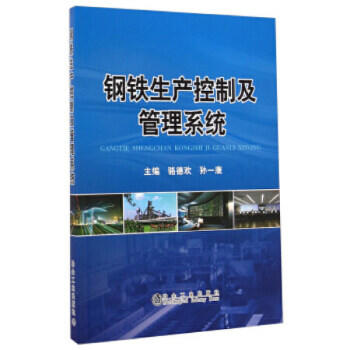 钢铁生产控制及管理系统/骆德欢 孙一康 商品图0
