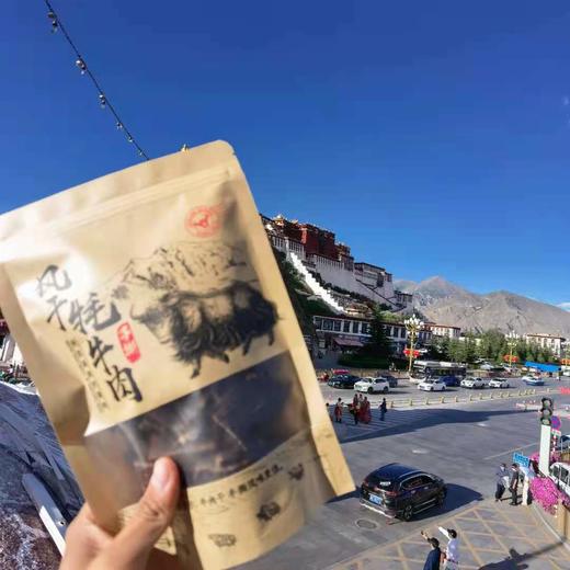 店主在拉萨！西藏直发！500克包邮！西藏风味特产！（满两件包邮） 商品图1