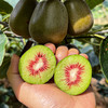 【斌哥优选】蒲江红心猕猴桃。出了名的好吃，不硬心，皮薄肉厚，软嫩多汁，放软再吃，不甜找我！！ 商品缩略图0