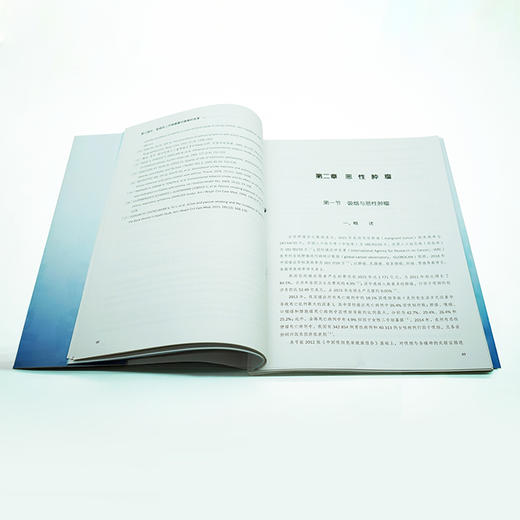 中国吸烟危害健康报告2020 商品图3