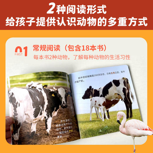 动物认知小百科（共24册）（赠音频）2-6岁百科全书亲子阅读 商品图5