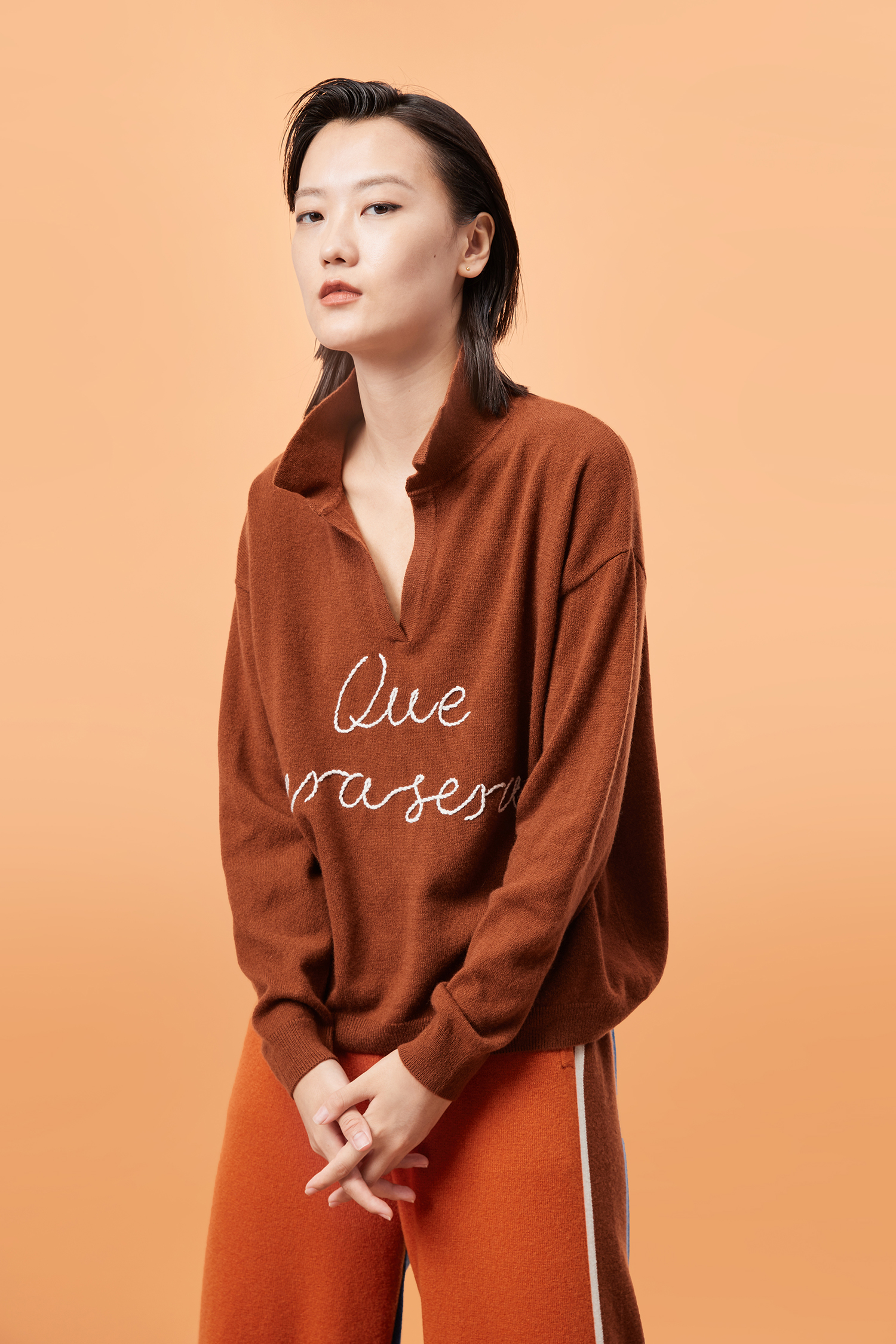 Polo领手工绣花羊绒女套衫 SJF93W182N