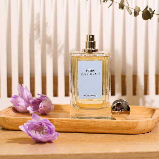 普拉达 紫雨 Prada Purple Rain 分装 商品图2