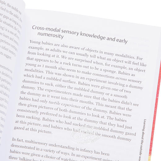 【中商原版】牛津通识系列 儿童心理学 英文原版 Child Psychology A Very Short Introduction Usha Goswami 商品图3