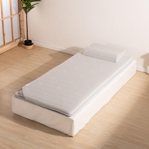 大学生宿舍90CM单人床减压乳胶床垫 商品图1