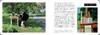 【预订60天后到货】David Hockney:The Arrival of Spring,Normandy,2020 | 大卫·霍克尼:春天的到来,诺曼底,2020 商品缩略图5