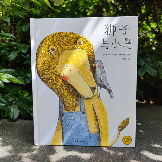 狮子与小鸟 商品图2