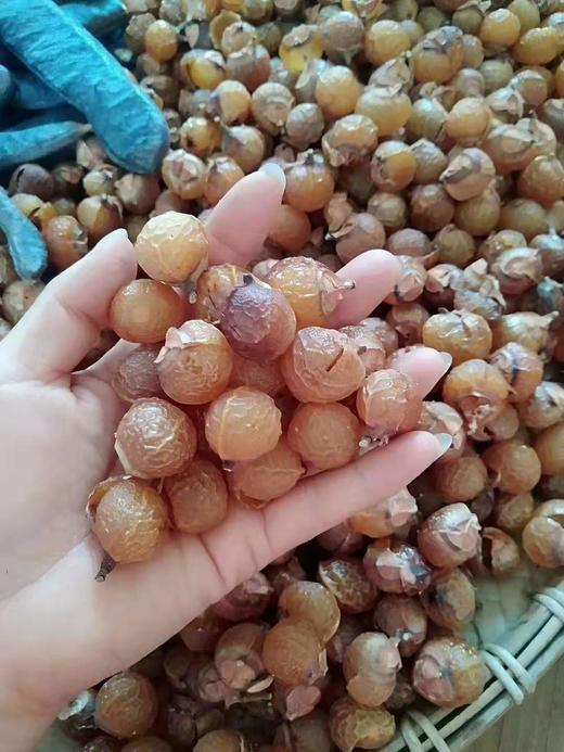 朝颜定制——草本养发膏（截单三天后按付款顺序发货） 商品图3