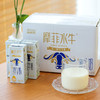 【满两件减5元 | 摩菲水牛纯牛奶】每盒含7.6g原生蛋白质 奶质丝滑浓郁 口感细腻香醇 商品缩略图11