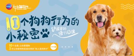 狗总是怼裤裆，只需一招搞定！ 商品图0