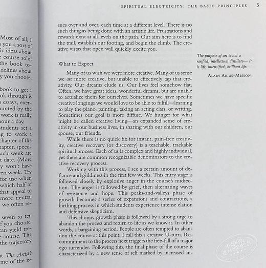 【中商原版】创意，是一笔灵魂交易（25周年版） Julia Cameron 英文原版 The Artist's Way (25th Anniversary Edition) 商品图5