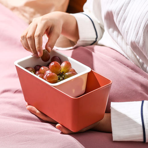 多功能懒人双层创意客厅水果盘 糖果盒干果盘磕吃瓜子神器沥水果盘 商品图7