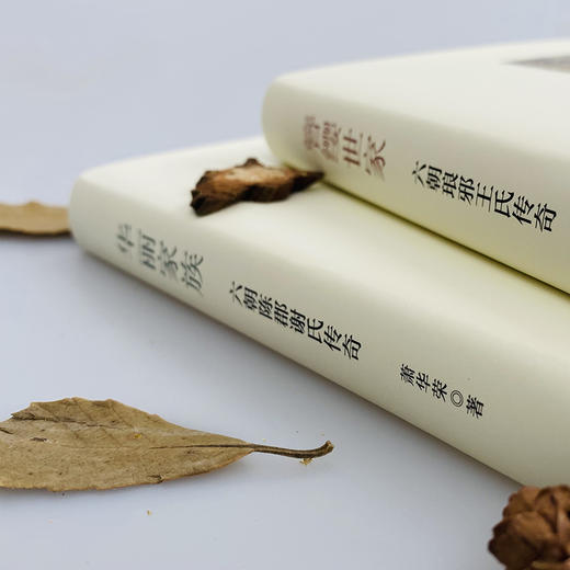 六朝名士传奇系列2册 华丽家族+簪缨世家 知名学者萧华荣代表作 王谢风流 一代传奇 商品图1
