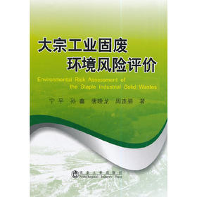 大宗工业固废环境风险评价/宁平 孙鑫 唐晓龙 周连碧