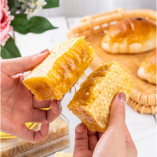 秦岭纯天然蜂巢蜜500克 商品图2