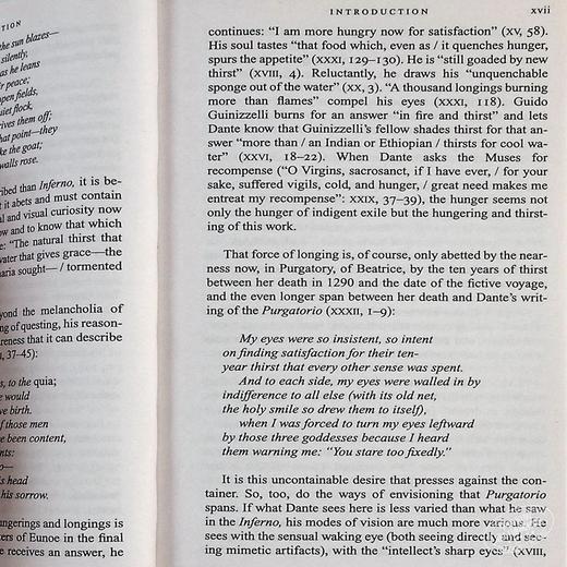 【中商原版】但丁 神曲 地狱篇  双语版 意大利语 英语 英文原版 地狱  Purgatorio  世界经典名著畅销小说书籍 商品图5