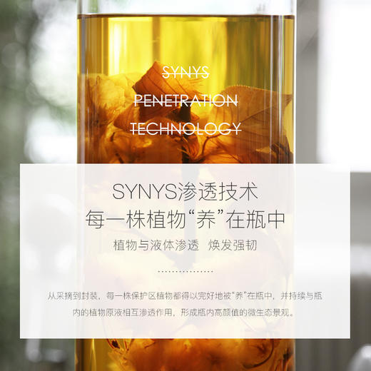 【授权商品】蜡菊补水蓬松柔顺改善毛躁洗发水缔丝初源Diksonatura意大利进口 商品图1