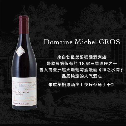 勃艮第米歇尔格厚酒庄上夜丘圣马丁黑皮诺红葡萄酒 2019 Domaine Michel Gros Bourgogne Hautes Cotes de Nuits Fontaine St Martin 商品图0