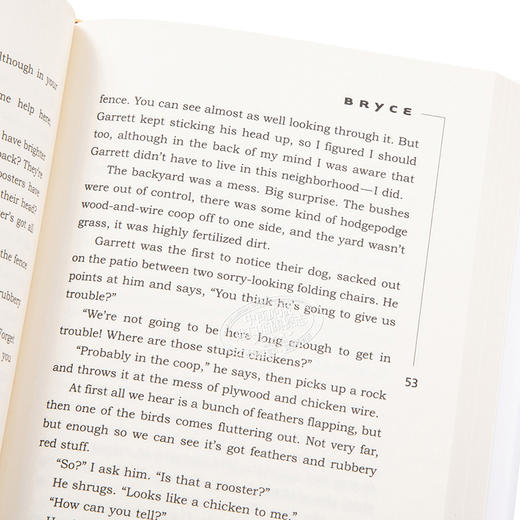 Flipped 怦然心动 （精装）英文原版精装 电影原著小说 文德琳 Wendelin 韩寒推荐 商品图3