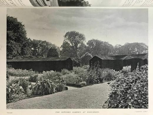 1902年 乡村生活杂志 数百幅插图 精装大16开 商品图7